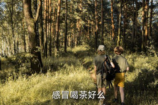 感冒喝茶好嗎，感冒喝茶好么
