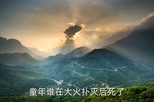 童年去世，有關童年逝去而感到惋惜的句子有哪些
