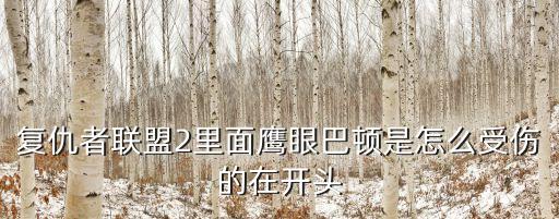 鷹眼巴頓，復(fù)仇者聯(lián)盟拿弓的名字叫什么