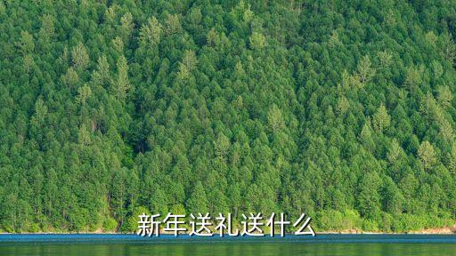 過(guò)年送禮，新年送禮送什么
