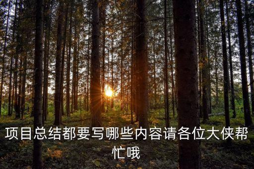 項(xiàng)目?jī)?nèi)容怎么寫(xiě)，項(xiàng)目描述怎么寫(xiě)呀