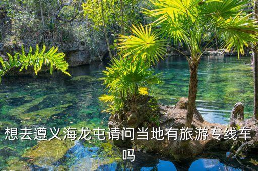 遵義海龍屯景區，遵義海龍囤怎么去