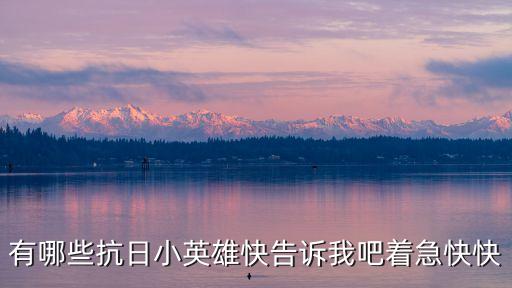 有哪些抗日小英雄快告訴我吧著急快快