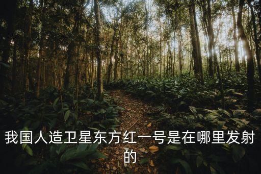 東方紅1號(hào)，東方紅一號(hào)衛(wèi)星 有哪些特點(diǎn)和用處 急 急 急 急 急 急 拜托了在一分