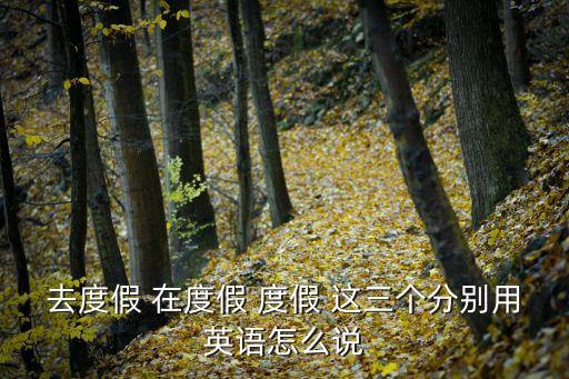 去度假英語，去度假的英文表達2種