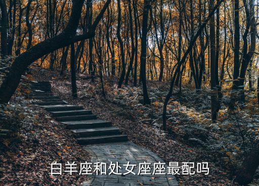 白羊座和處女座座最配嗎