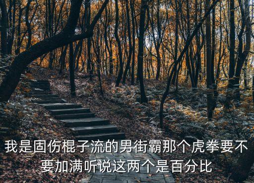 猛虎拳，極限猛虎拳厲害還是懲戒之錘厲害