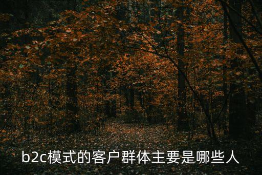 b2c模式，什么是b2c