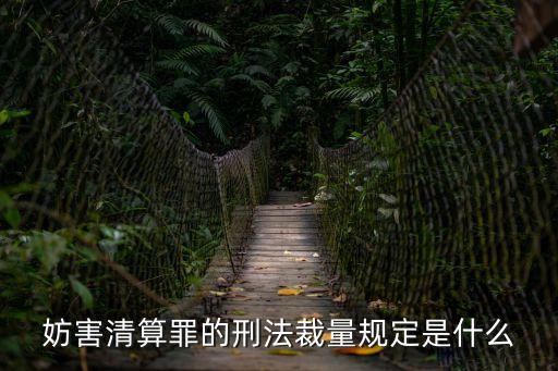 妨害清算罪的刑法裁量規(guī)定是什么