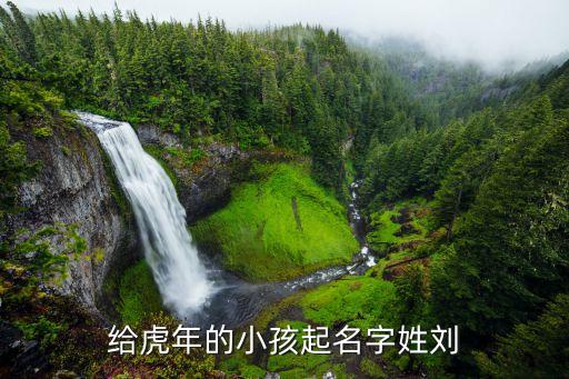 劉義權，給虎年的小孩起名字姓劉