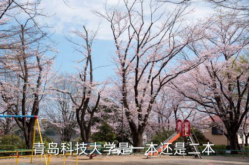 青島科技大學是一本還是二本