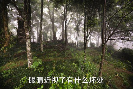 近視眼的十大危害，眼睛近視了有什么壞處