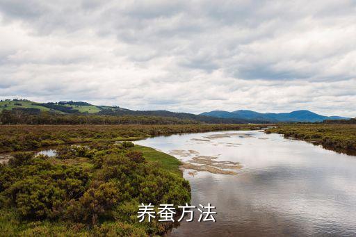 養(yǎng)蠶技術，怎樣養(yǎng)蠶蠶繭又大又白