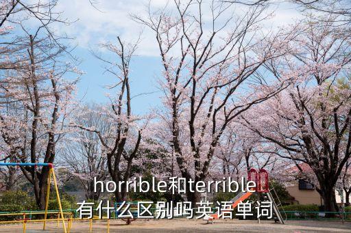 horrible和terrible有什么區(qū)別嗎英語單詞