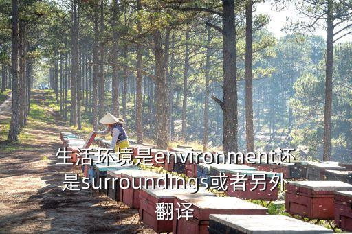 生活環境是environment還是surroundings或者另外翻譯