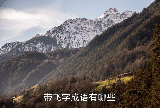 飛的成語，含有飛的成語