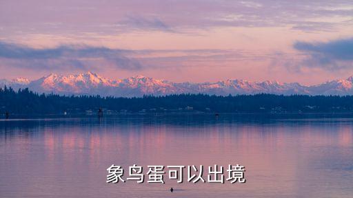 象鳥蛋，象鳥早在16世紀滅絕為何現在有人拍賣象鳥蛋大小100個雞蛋
