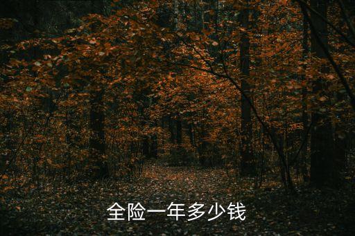 全險(xiǎn)一年多少錢