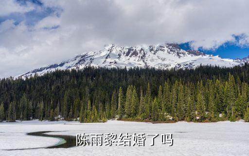 陳雨黎，陳雨黎的車禍怎么發生的