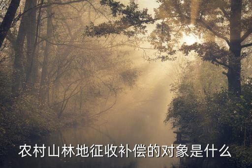 農村山林地征收補償的對象是什么
