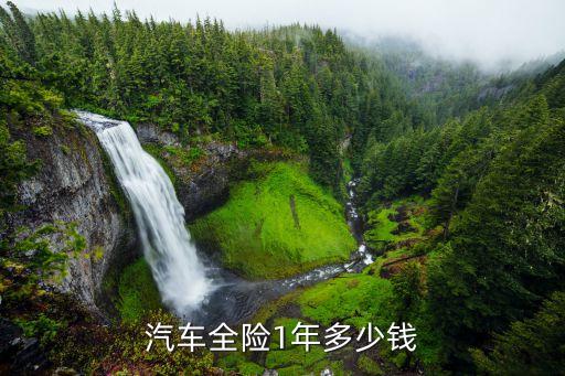 全險(xiǎn)多少錢一年，車輛全險(xiǎn)一年多少錢