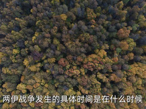 兩伊戰(zhàn)爭，兩伊戰(zhàn)爭是指與之間的戰(zhàn)爭