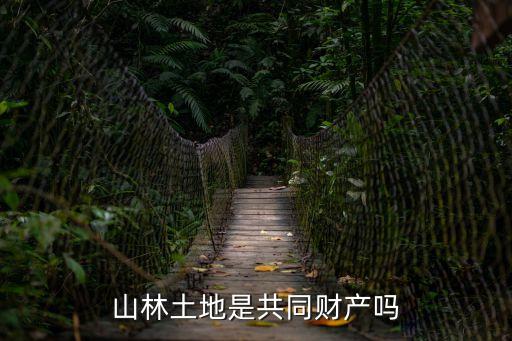 山林地，山林土地是共同財(cái)產(chǎn)嗎