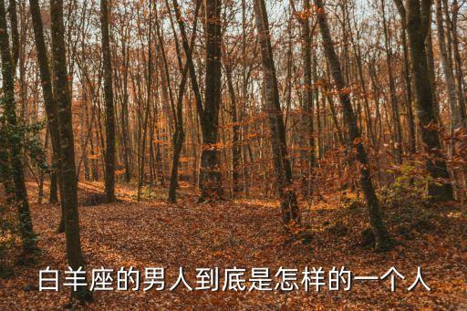 白羊座男人，白羊座的男人是什么樣的人