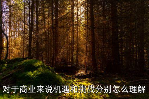 對(duì)于商業(yè)來(lái)說(shuō)機(jī)遇和挑戰(zhàn)分別怎么理解
