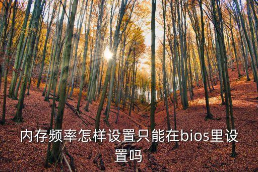 內存頻率怎么調，內存頻率怎樣設置只能在bios里設置嗎