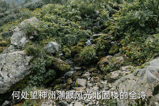 南鄉(xiāng)子何處望神州，南鄉(xiāng)子登京口北固亭有懷何處望神州 中 神州是什么地方