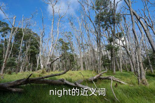 夜晚的近義詞，night的近義詞