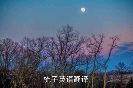 梳子英文，梳子英語翻譯