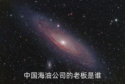 王宜林，中石油老總是誰