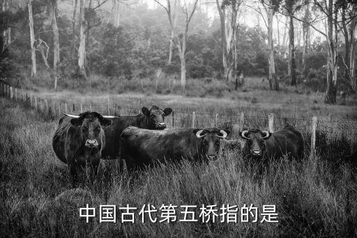 龍腦橋，中國古代第五橋指的是