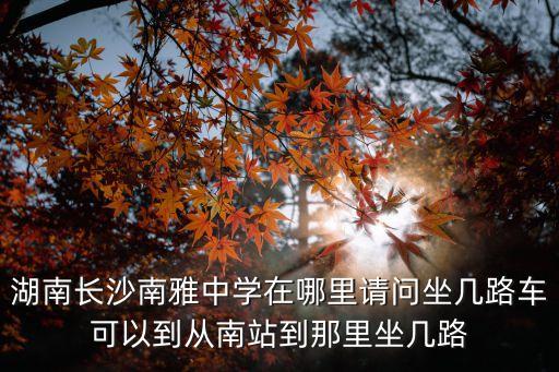 湖南南雅中學，南雅中學在哪里