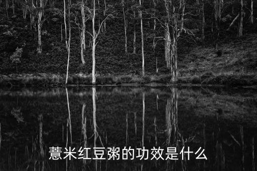 薏米紅豆粥的功效是什么