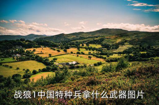 中國特種部隊裝備，戰狼1中國特種兵拿什么武器圖片