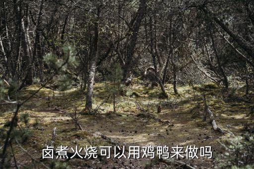 鹵煮火燒的做法，豆腐怎么做好吃 鹵煮火燒的做法 豆腐的做法大全