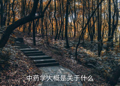 中醫(yī)藥學(xué)，中藥專業(yè)學(xué)什么