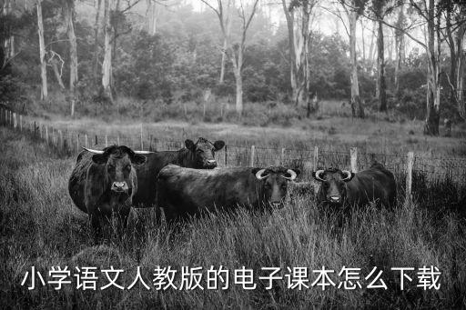 語文書電子版，小學語文人教版的電子課本怎么下載