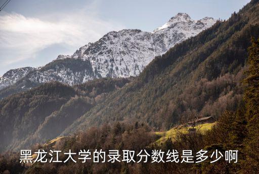 黑龍江大學錄取分數線，黑龍江大學去年對外省招生分數線是多少