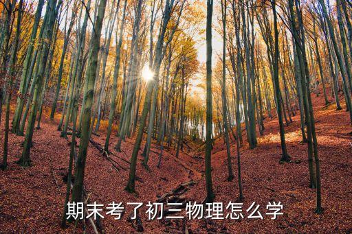 期末考了初三物理怎么學