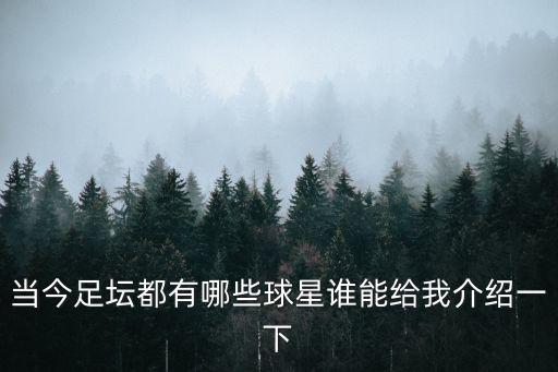 世界足球明星，世界著名足球明星資料來球友一起看唄