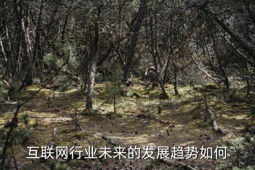 互聯(lián)網(wǎng)行業(yè)未來的發(fā)展趨勢(shì)如何