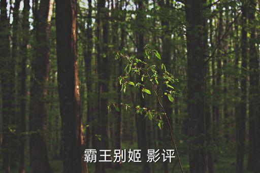 霸王別姬 影評