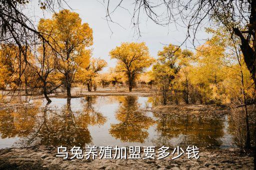 兔子養殖加盟，烏兔養殖加盟要多少錢