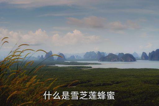 什么是雪芝蓮蜂蜜
