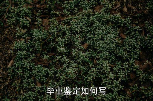 畢業鑒定，什么是畢業鑒定