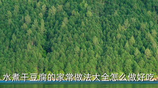 水煮干豆腐，怎么煮干豆腐